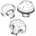 蘑菇识别高手app