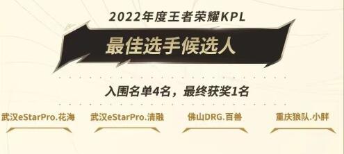 《王者荣耀》2022KPL年度最佳选手候选人名单一览